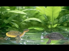 Figura zwierzęcia morskiego